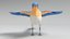 3D bluebird polys model