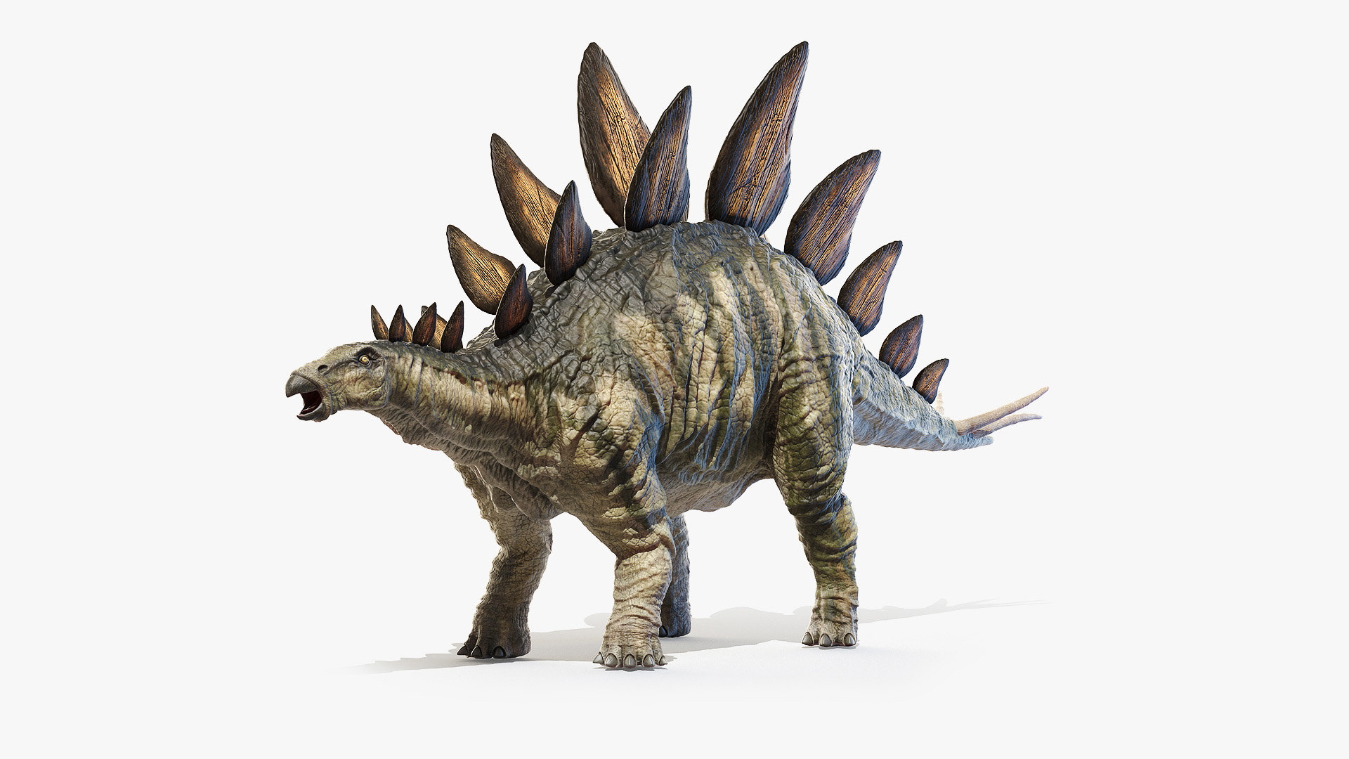 3D model stegosaurus stegos - TurboSquid 1575511