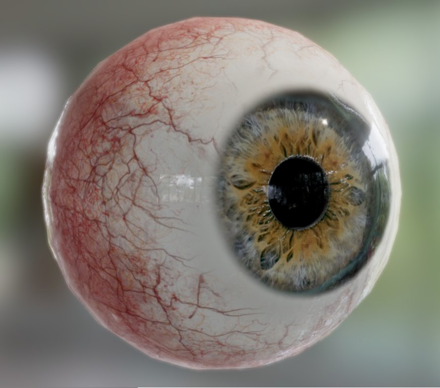 Realistic human eye iris 3D model - TurboSquid 1576059