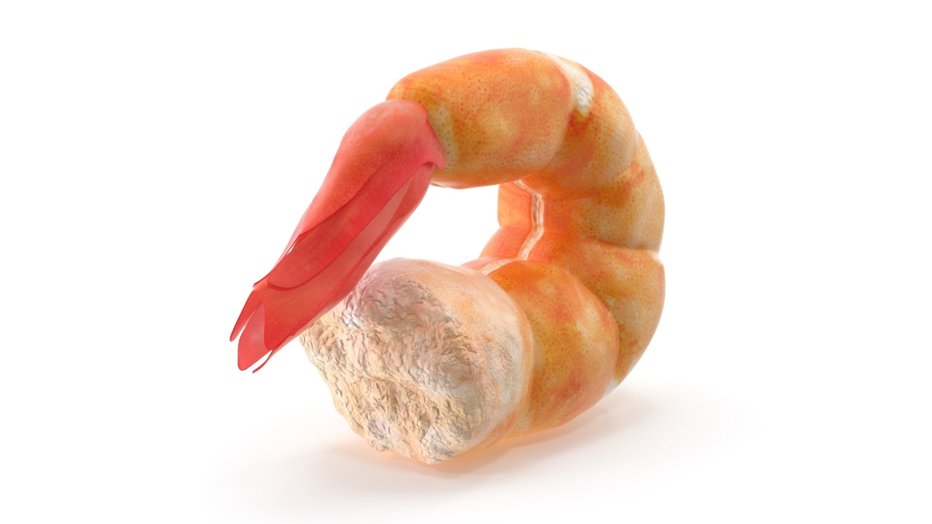 Shrimp prawn crustacean 3D model TurboSquid 1576351