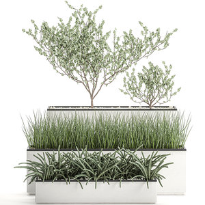 decorative plants interior white 3D model