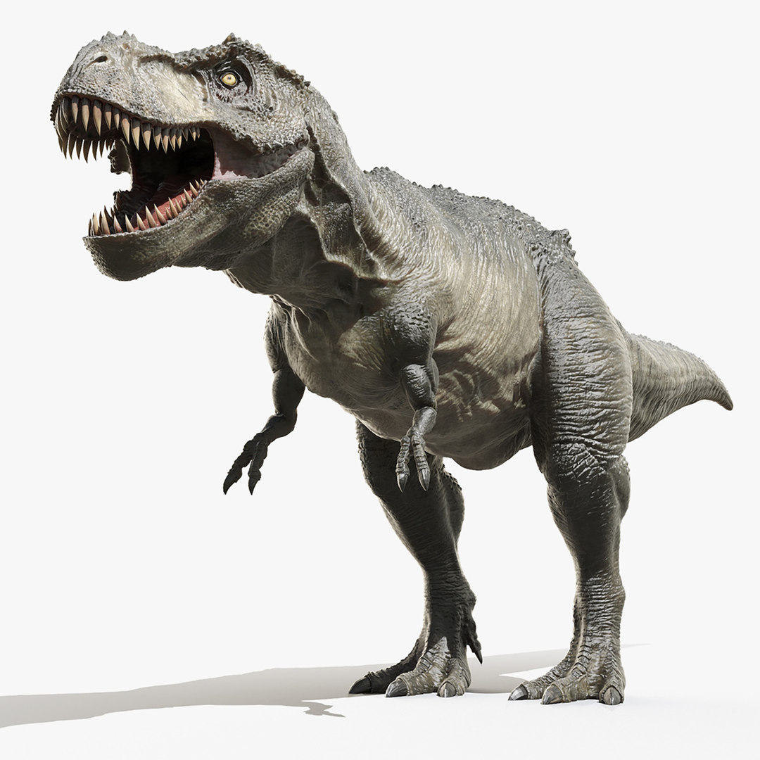 3d tyrannosaurus