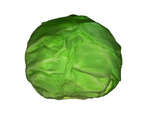 3D model cabbage fruits
