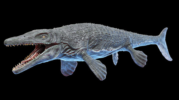 mosasaurus 3d google