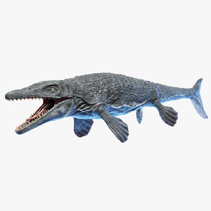 3D mosasaurus