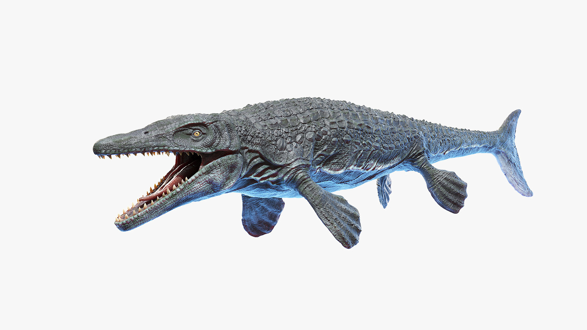 3D Mosasaurus Image