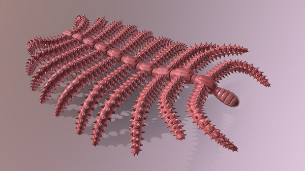 Diania cactiformis 3DModell TurboSquid 1577912