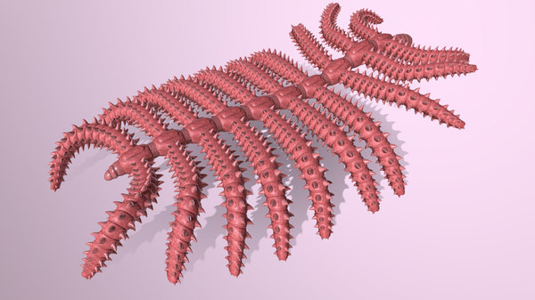 Diania cactiformis 3DModell TurboSquid 1577912