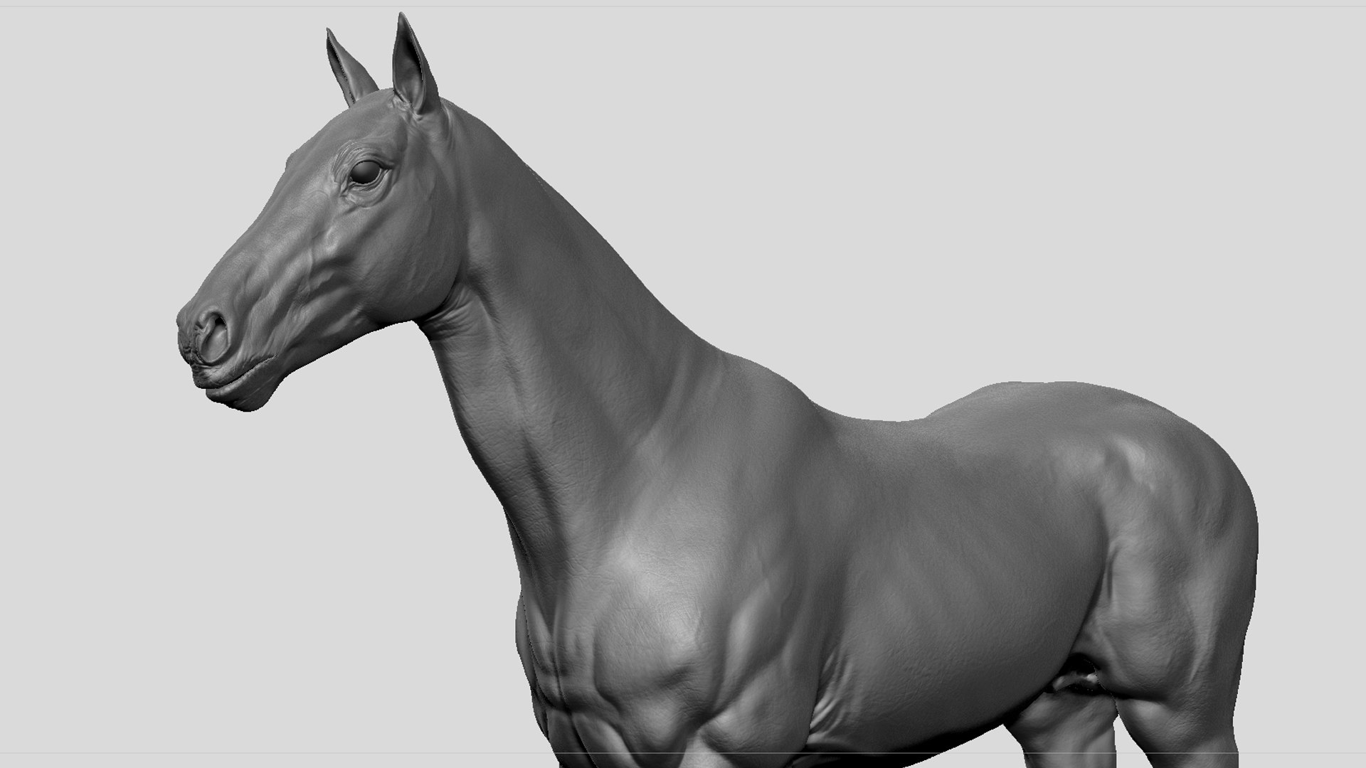 free zbrush horse model