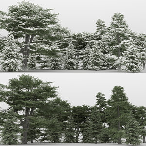 20 cedrus trees 3d max