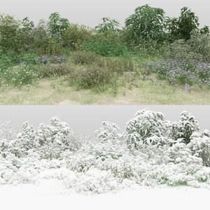 3D 30 wild bushes