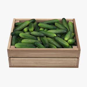 cucumberbox cucumber 3D model