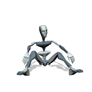 Sit to stand idle