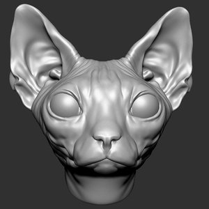 3d model sphynx cat