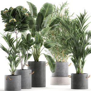 3D plants interior pots concrete model