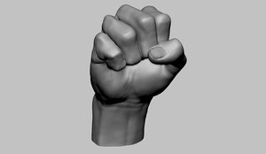 3D printable fist anatomy model