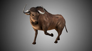buffalo bull rigged 3D
