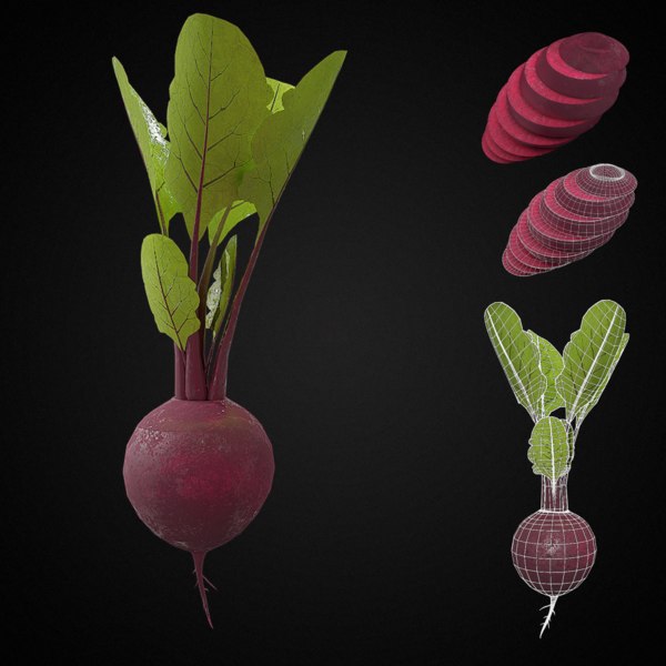 beet root vegetable pbr model