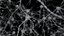 3D neural cells axon