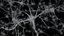 3D neural cells axon