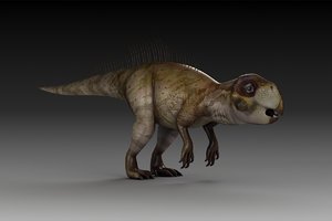 3D model plant-eating dinosaur psittacosaurus ancient