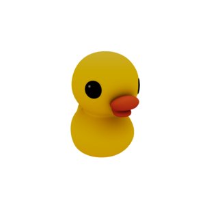 rubber duck model