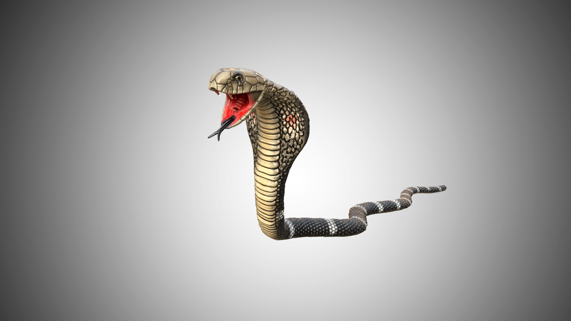 Snake king cobra model - TurboSquid 1582586