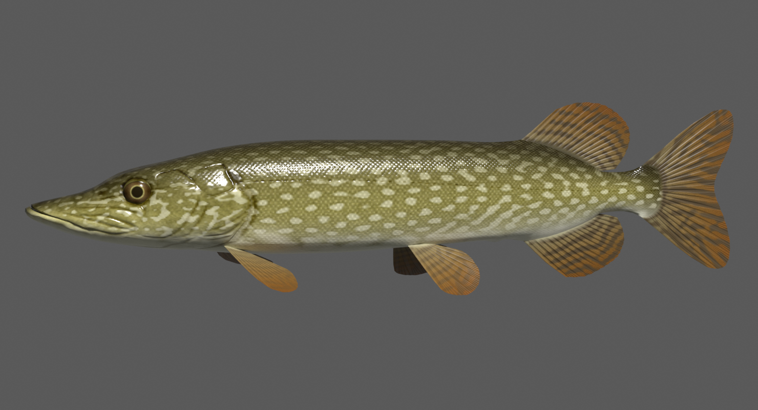 northern pike 3ds