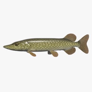 northern pike 3ds