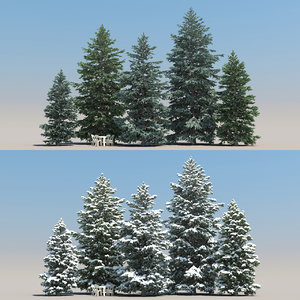 snowy fir trees 3d model