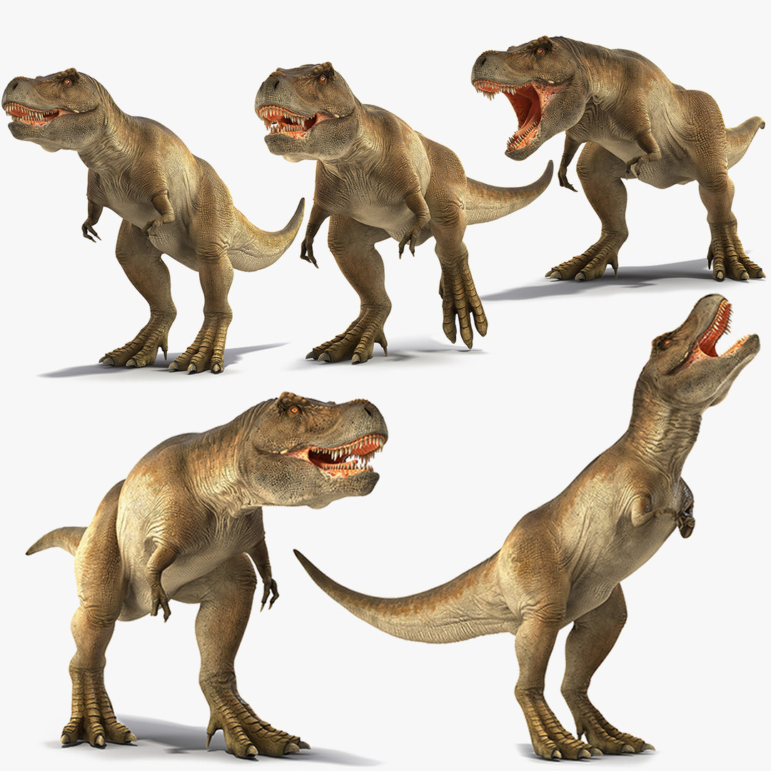 tyrannosaurus rex 3d google