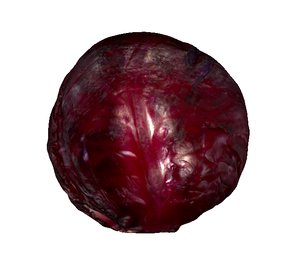 red cabbage 3D