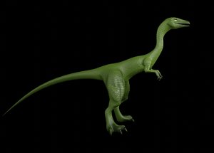 compsognathus 3D