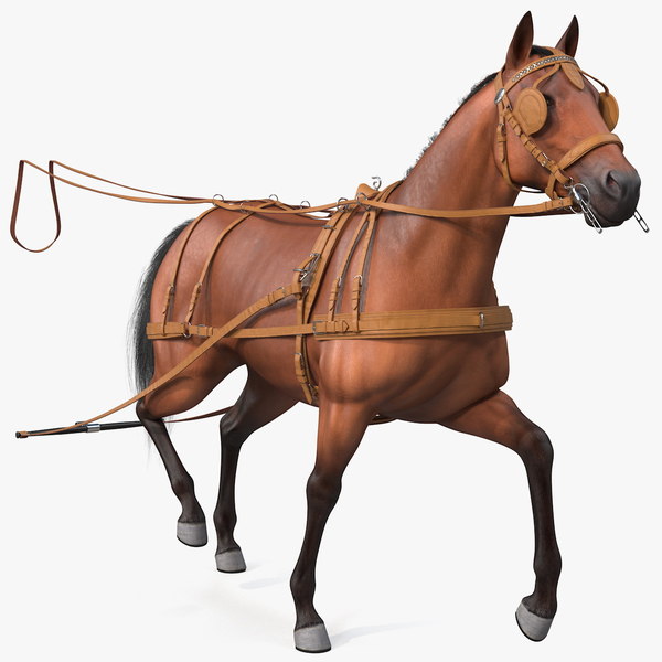Equestrian Universe Harnais de conduite élégant en cuir 3 tons naturel/vert/marron pour chariot à cheval unique (plein