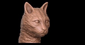 3D model cat head