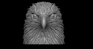 eagle 3D model