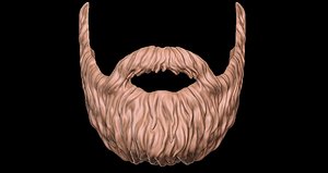 3d Beard Models Turbosquid - roblox beard 3d model