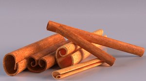 cinnamon spices 3D model