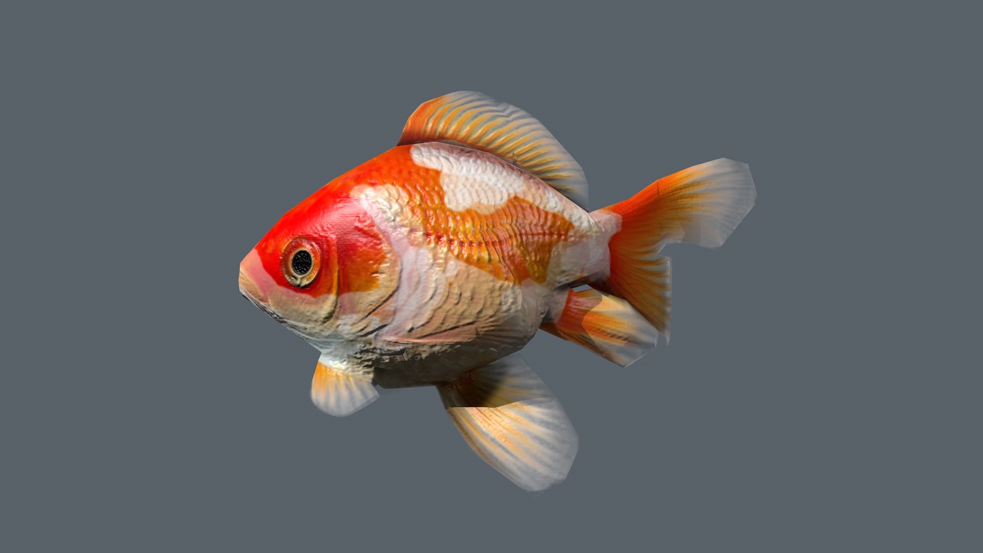 Goldfish animation 3D model - TurboSquid 1584964