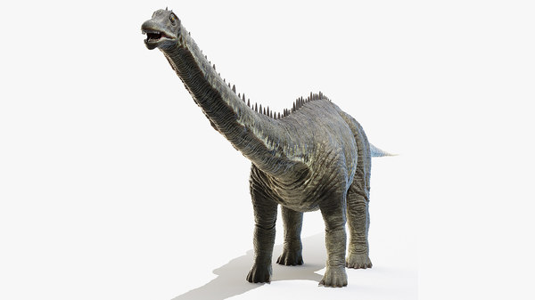 Modele 3d De Diplodocus Turbosquid Modele 3d De Diplodocus Turbosquid