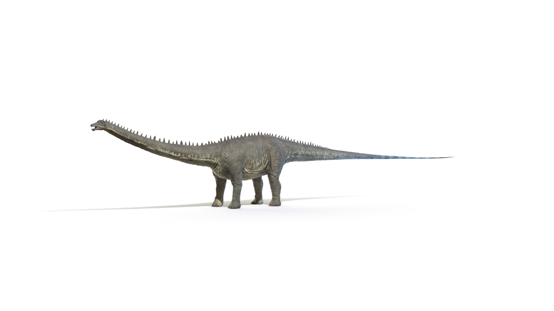 Diplodocus 3D model - TurboSquid 1585232