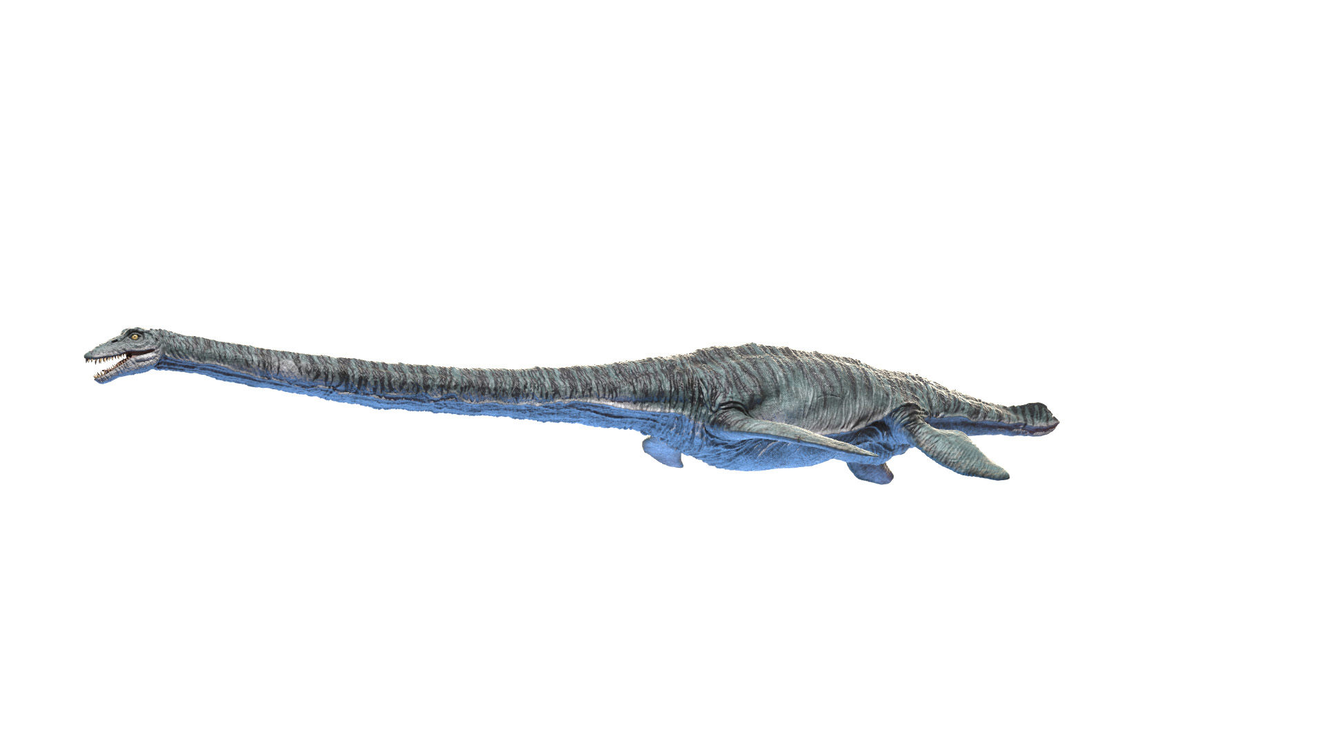 Elasmosaurus 3DModell TurboSquid 1585876