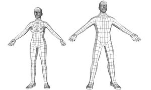 sketchup human figure