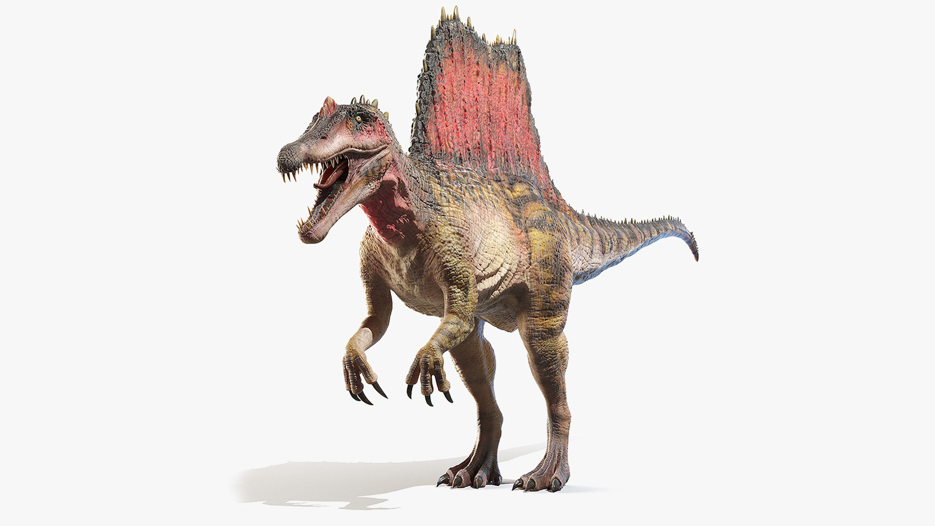 spinosaurus 2020 model