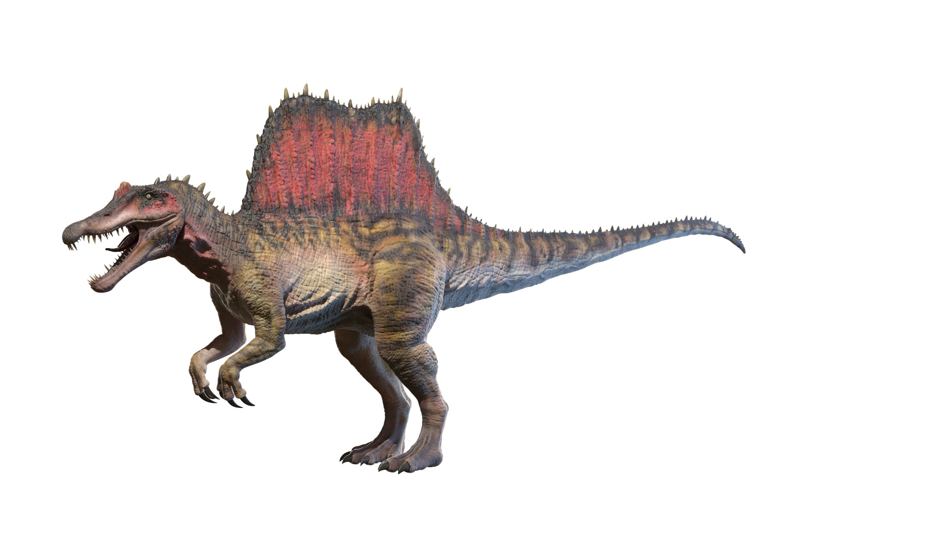 Spinosaurus spines 3D model - TurboSquid 1587434