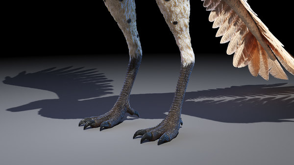 Archaeopteryx 3D model - TurboSquid 1587666