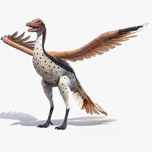 archaeopteryx 3D model