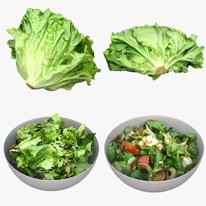 3D model salad vegetable lettuce