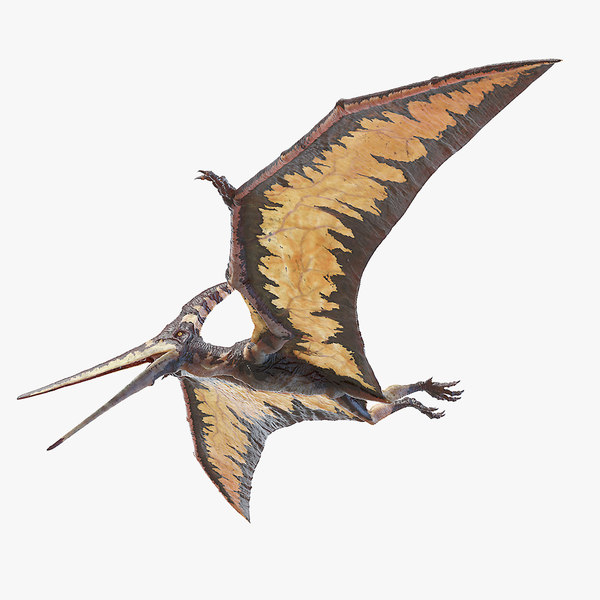 Pteranodon Pteranodon