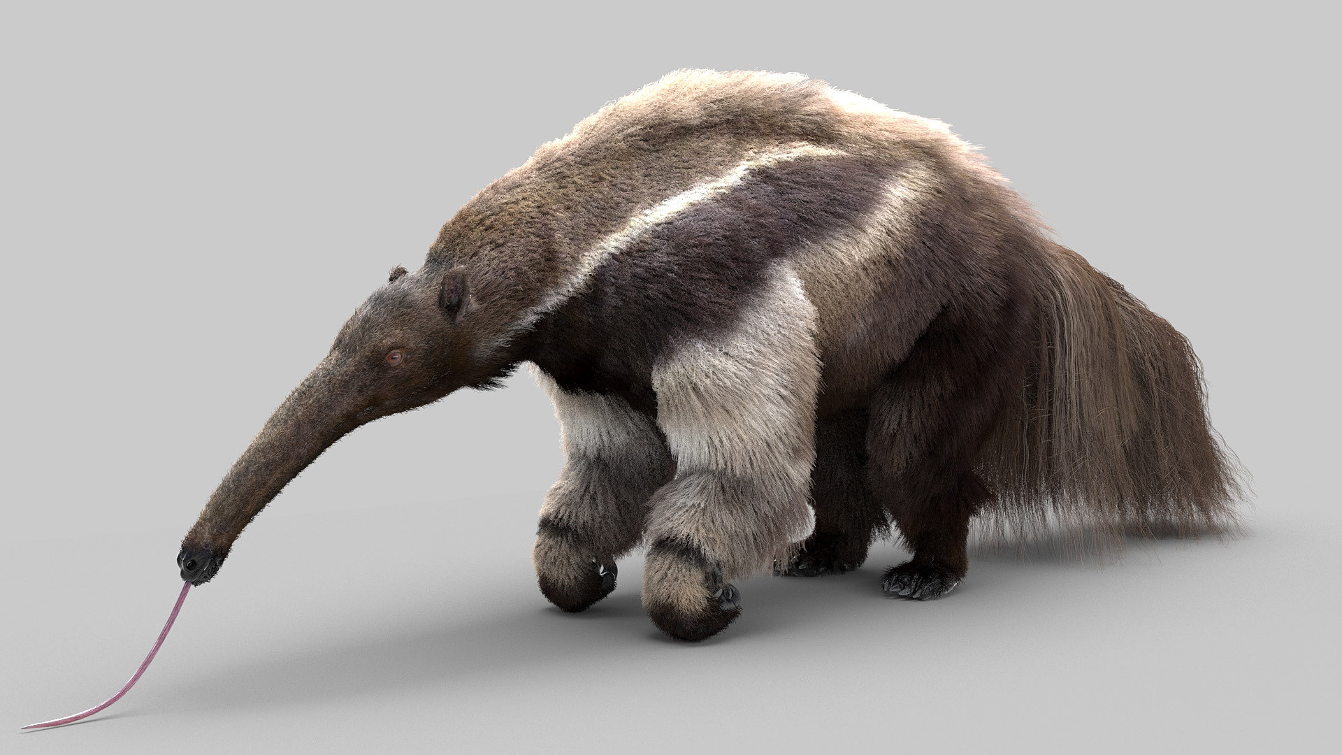 3D giant anteater model - TurboSquid 1589453
